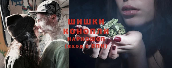 мяу мяу кристалл Корсаков
