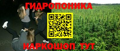 прущие крисы Кинель