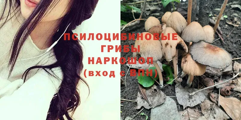 Псилоцибиновые грибы Magic Shrooms  Рыбинск 