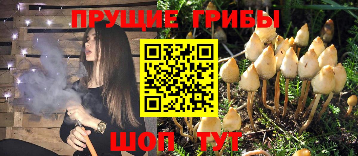 Рыбинск  Псилоцибиновые грибы Magic Shrooms  Вход с VPN 